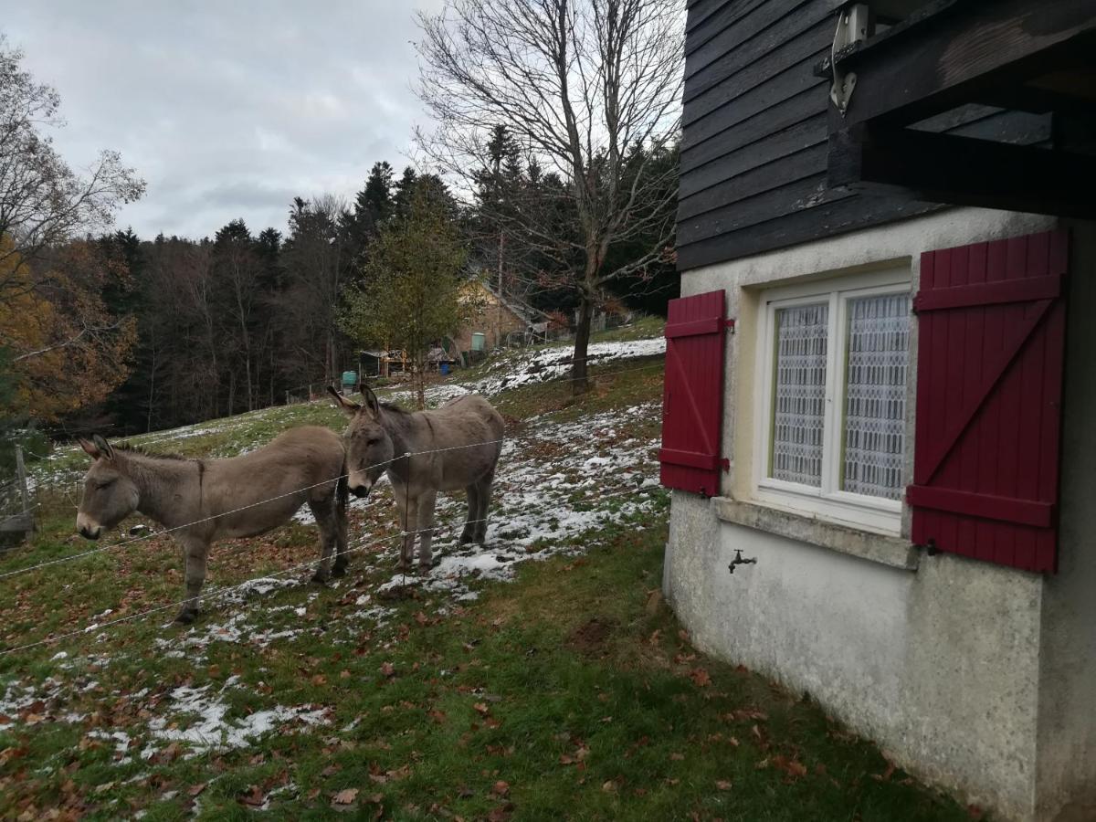 Le Chalet De Rothenbuhl Dabo Экстерьер фото