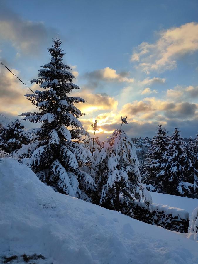 Le Chalet De Rothenbuhl Dabo Экстерьер фото