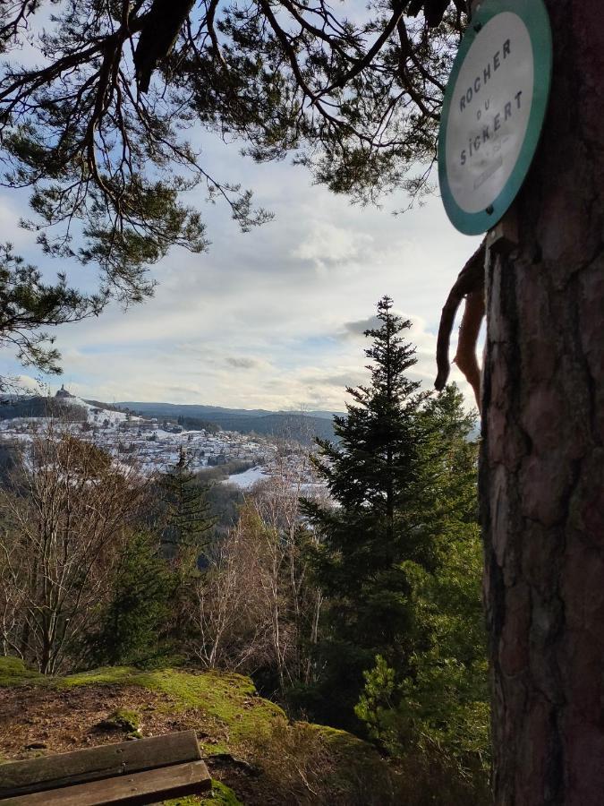 Le Chalet De Rothenbuhl Dabo Экстерьер фото