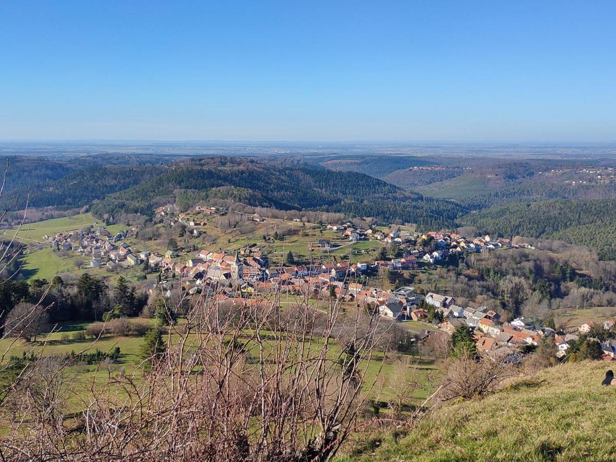 Le Chalet De Rothenbuhl Dabo Экстерьер фото